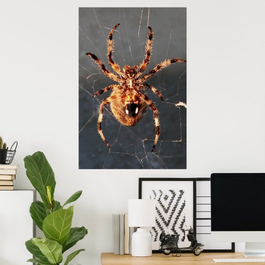 Poster Orb Weaver Spider (Bureau à domicile)