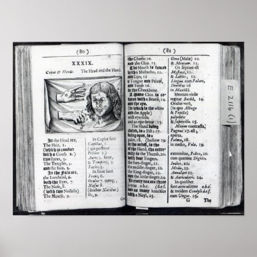 Poster 'Orbis Sensualium Pictus' (Devant)