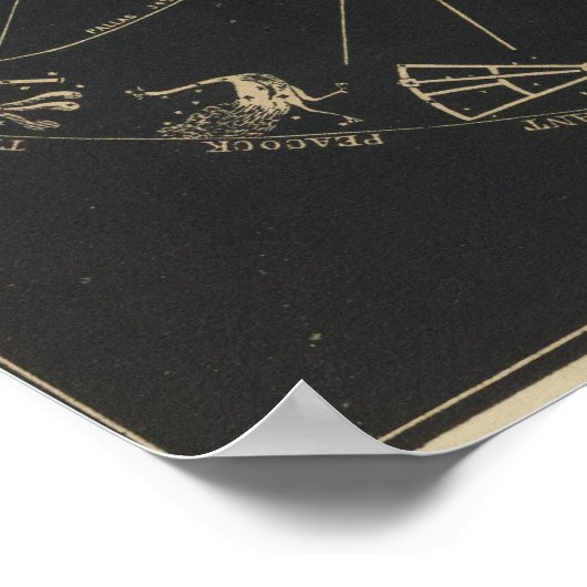 Poster Orbites des planètes (Coin)