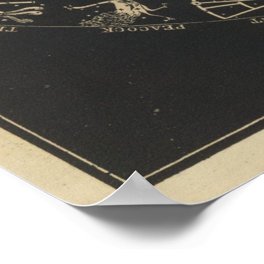 Poster Orbites des planètes (Coin)