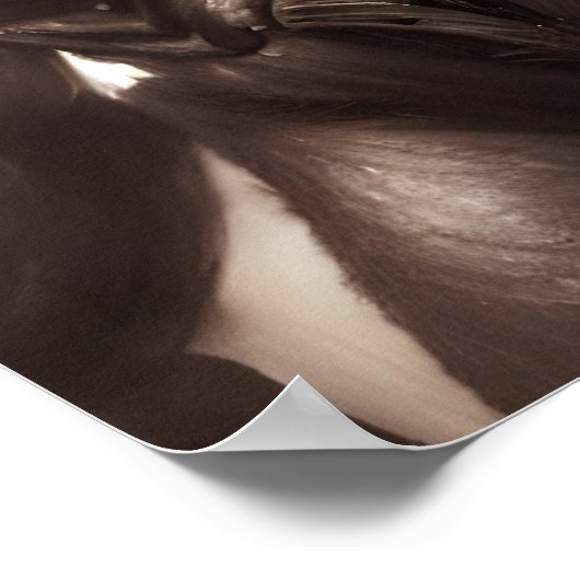 Poster Orc Brute (Coin)