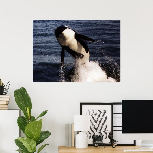 Poster Orca (Bureau à domicile)