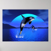 Poster Orca 1 (Devant)