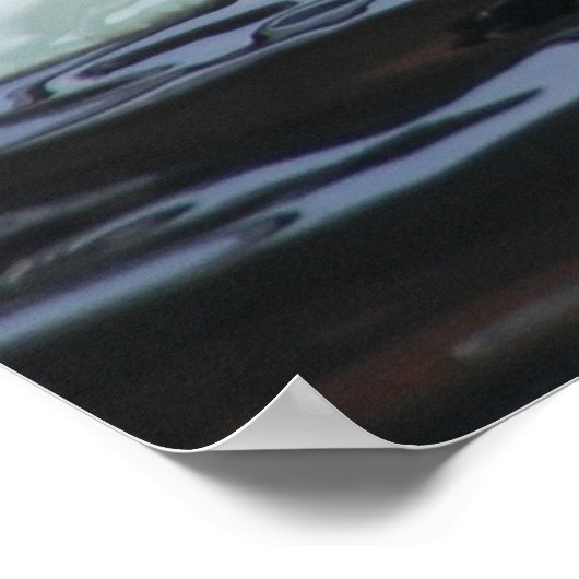 Poster Orca, épaulard (Coin)