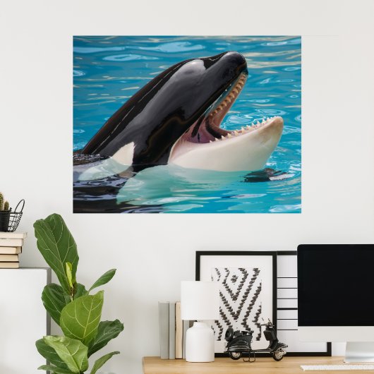 Poster Orca, épaulard (Bureau à domicile)