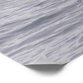 Poster Orca, épaulard, brèche (Coin)