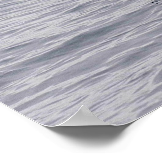 Poster Orca, épaulard, brèche (Coin)