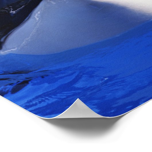 Poster Orca Killer Whale (Coin)