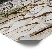 Poster Orca Whale in a Bottle Nature Wall (Coin)