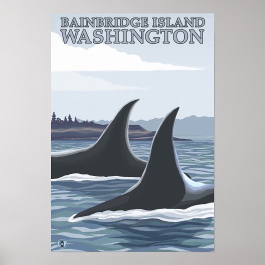Poster Orca Whales #1 - Bainbridge Island, Washington (Devant)