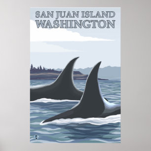 Poster Orca Whales #1 - L'île de San Juan, Washington