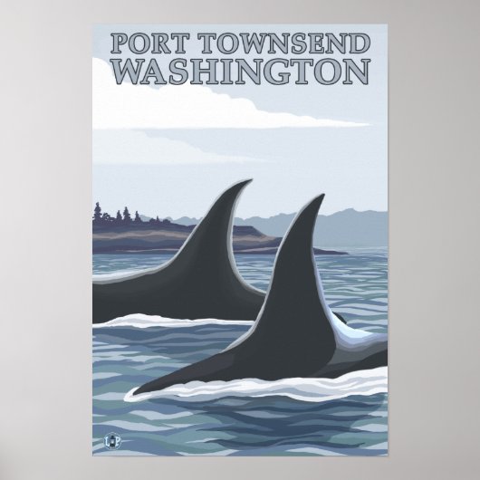 Poster Orca Whales #1 - Port Townsend, Washington (Devant)