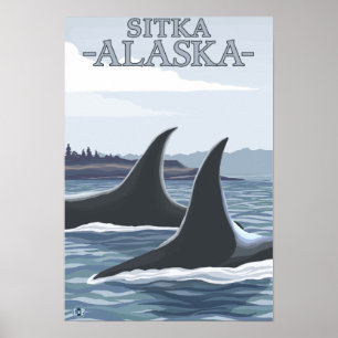 Poster Orca Whales #1 - Sitka, Alaska