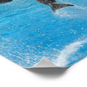Poster Orca Whales Imprimer (Coin)