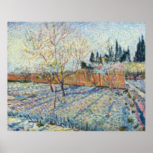 Poster Orchard avec cypress par Vincent van Gogh