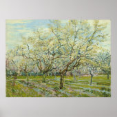 Poster Orchard blanc par Vincent Van Gogh (Devant)