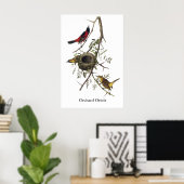 Poster Orchard Oriole - John James Audubon (Bureau à domicile)