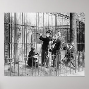 Poster Orchestre jouant un concert pour les ours, 1925. V