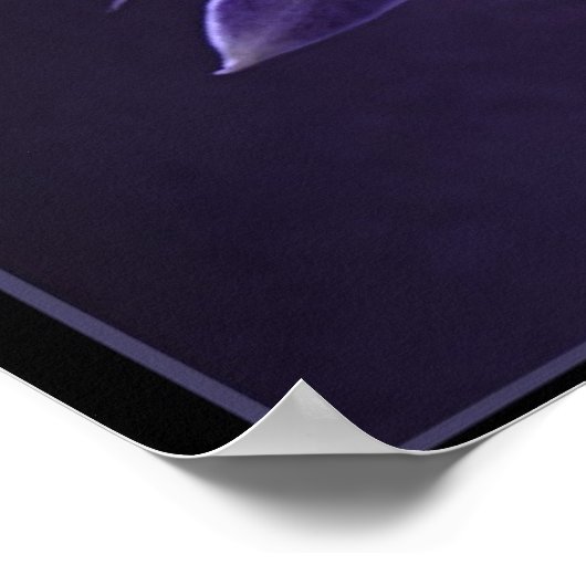 Poster Orchid bleu (Coin)