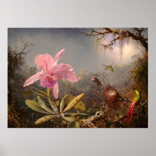 POSTER ORCHID ET TROIS HUMMINGBIRDS