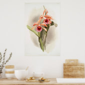 Poster Orchid illustré (Cuisine)