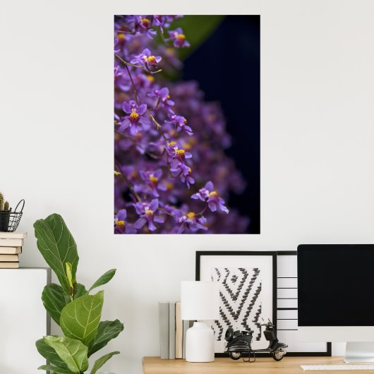 Poster Orchid Oncidium Twinkle (Bureau à domicile)