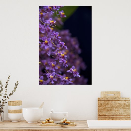 Poster Orchid Oncidium Twinkle (Cuisine)
