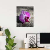 Poster Orchid Phalae Graphic Print -20x24 -or smaller (Bureau à domicile)