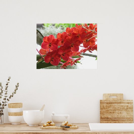 POSTER ORCHID ROUGE (Cuisine)
