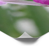 Poster Orchid Types afdrukken (Hoek)