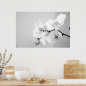 Poster Orchidée (Cuisine)