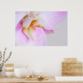 Poster Orchidée (Cuisine)