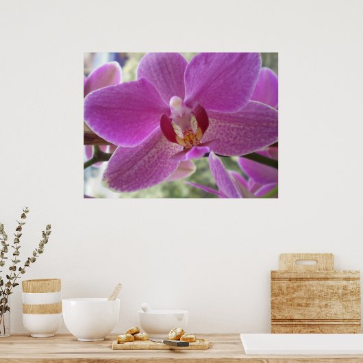 Poster Orchidée (Cuisine)