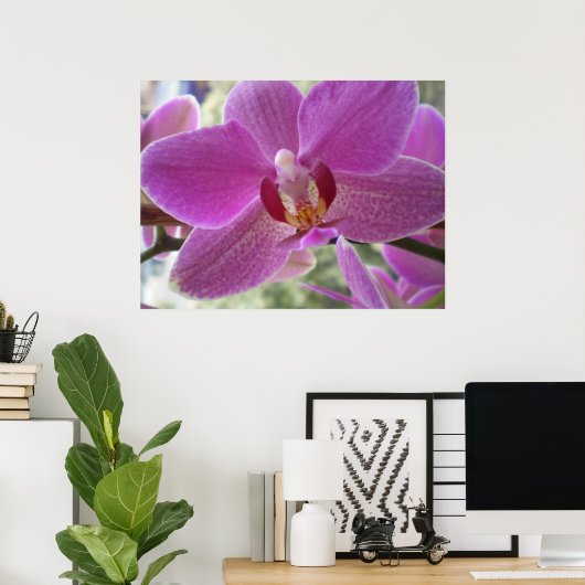 Poster Orchidée (Bureau à domicile)