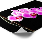 Poster Orchidée, (Coin)