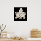 Poster Orchidée (Cuisine)