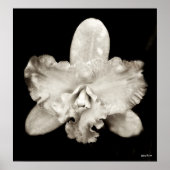 Poster Orchidée (Devant)