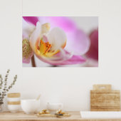 Poster Orchidée (Cuisine)