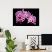 Poster Orchidée 1 en noir (Bureau à domicile)