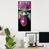 Poster Orchidée à glisse de la dame (Bureau à domicile)