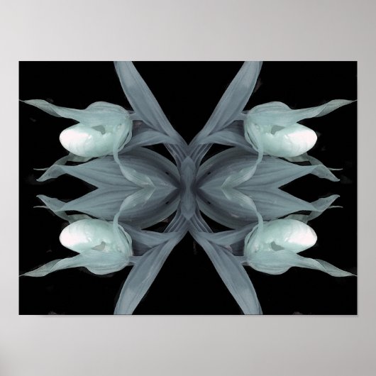 Poster Orchidée à glissière - Imprimer (Devant)