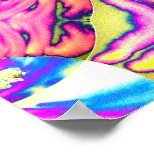 Poster orchidée Abstraite boho rose orange bleu pourpre (Coin)