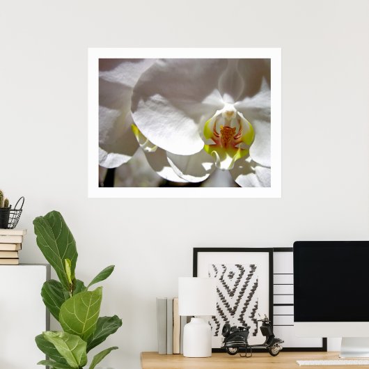 Poster Orchidée blanche (Bureau à domicile)
