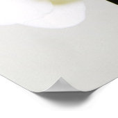 Poster Orchidée blanche (Coin)