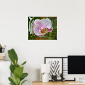 Poster Orchidée blanche et rose (Bureau à domicile)