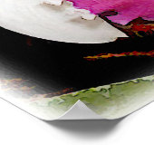 Poster Orchidée blanche et violette de Cattleya (Coin)