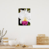 Poster Orchidée blanche et violette de Cattleya (Cuisine)