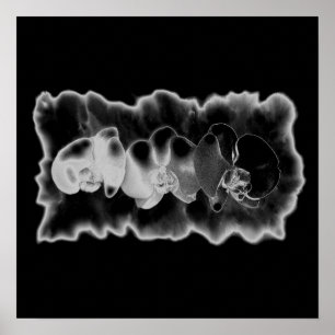 Poster Orchidée blanche noire peinture trippée florale