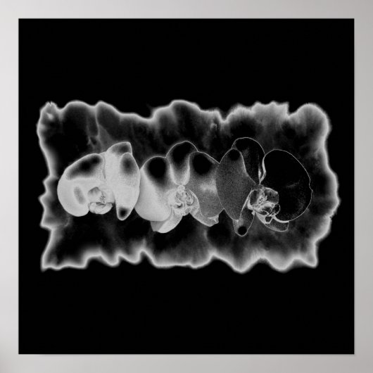 Poster Orchidée blanche noire peinture trippée florale (Devant)