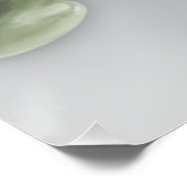 Poster Orchidée blanche Phaleonopsis (Coin)